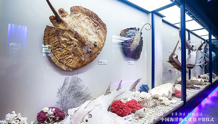 国内首个可沉浸式渔海文化体验馆--中国海洋渔文化馆正式开馆